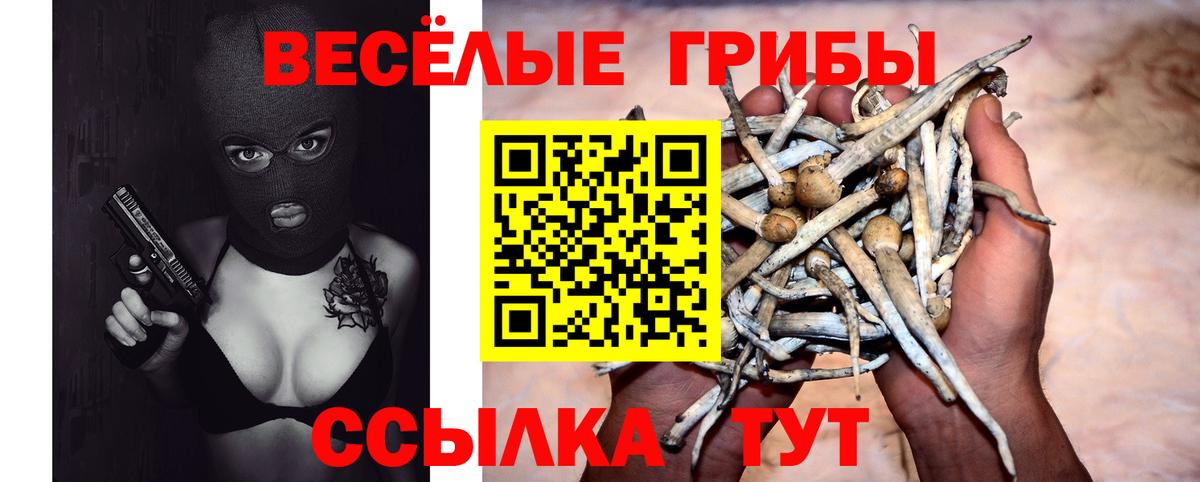 Псилоцибиновые грибы мухоморы Мурманск