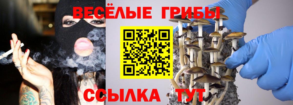 Псилоцибиновые грибы Cubensis  Галлюциногенные грибы GOLDEN TEACHER  Вход с VPN  Мурманск 